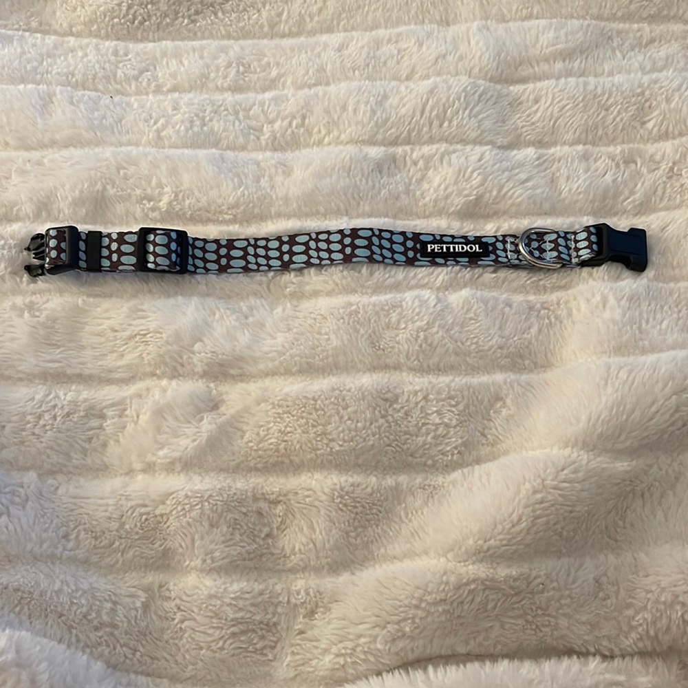Brand new dog collar